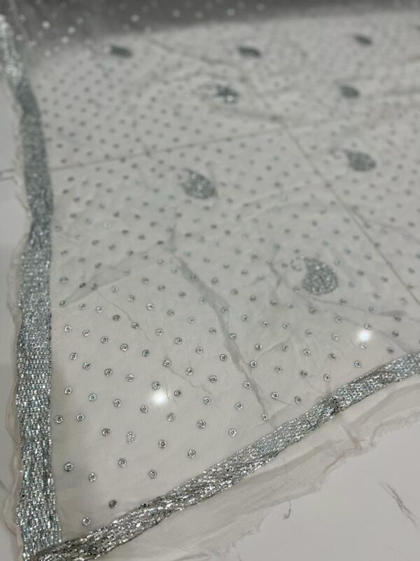 Silver Mukaish Work Dupatta D-004